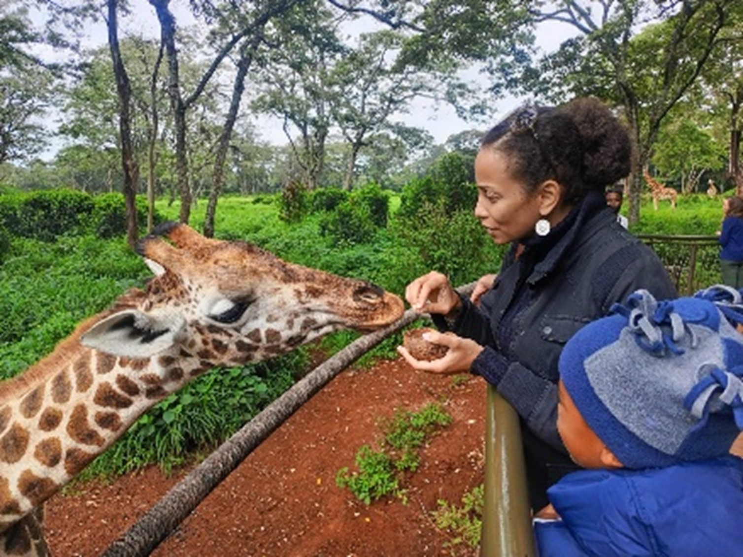 Giraffe center 