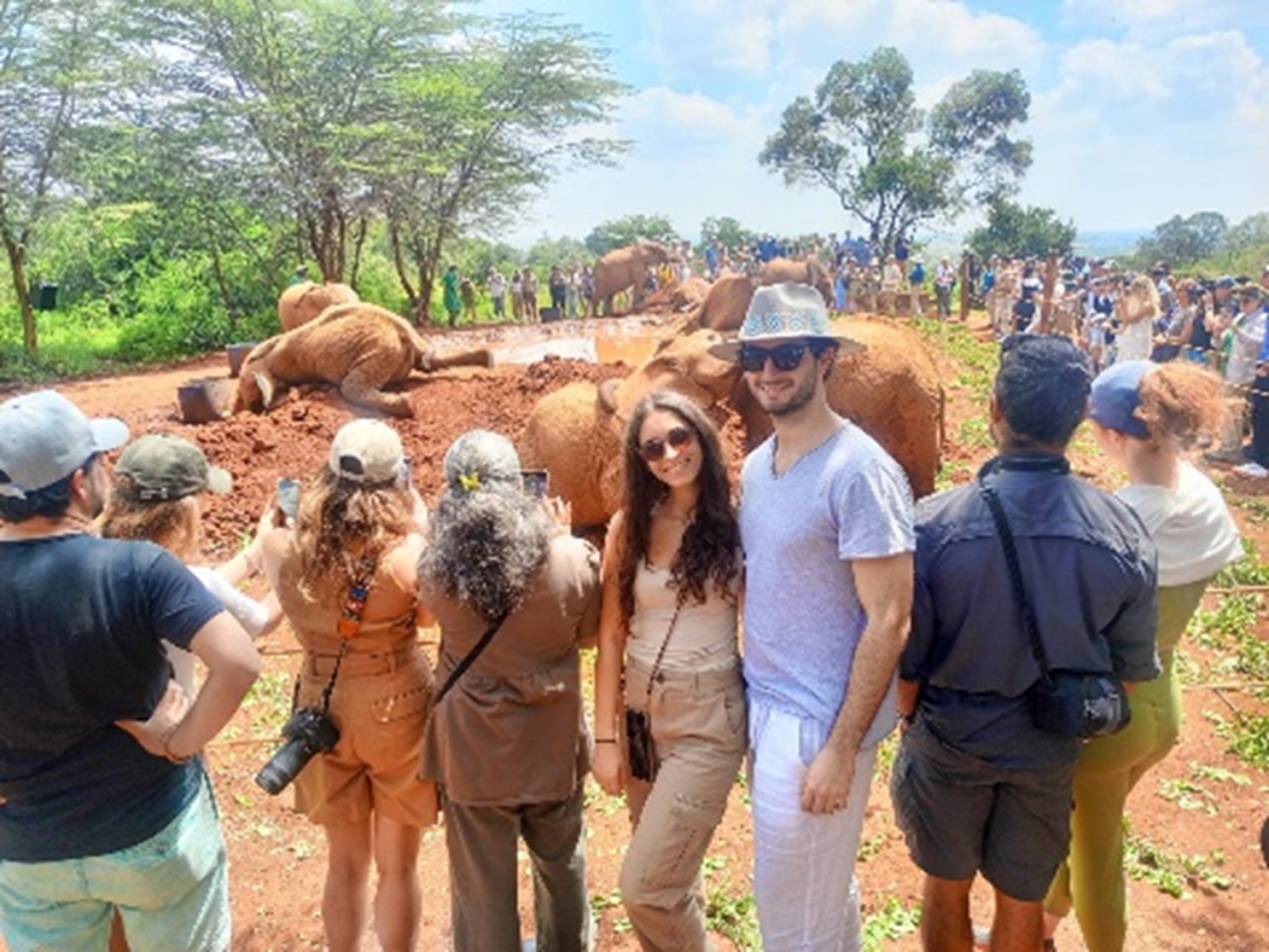 Orphelinat des éléphants