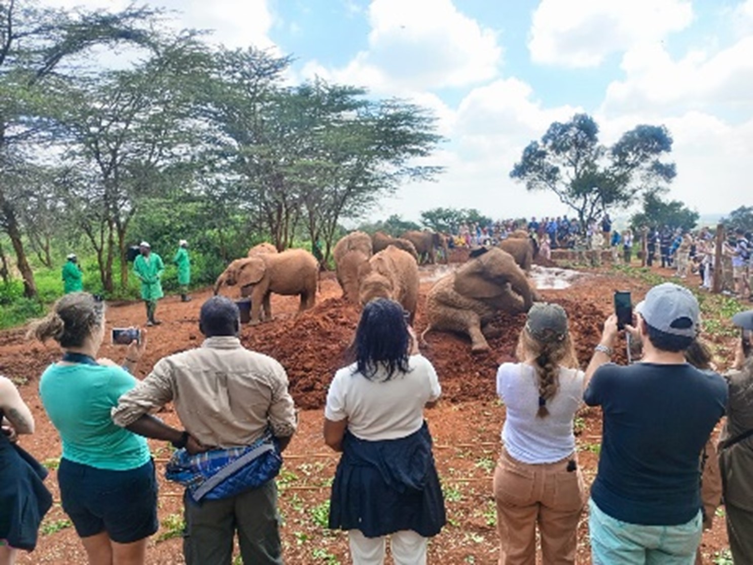 Orphelinat des éléphants